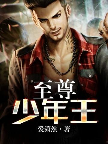 至尊少年王TXT 全集